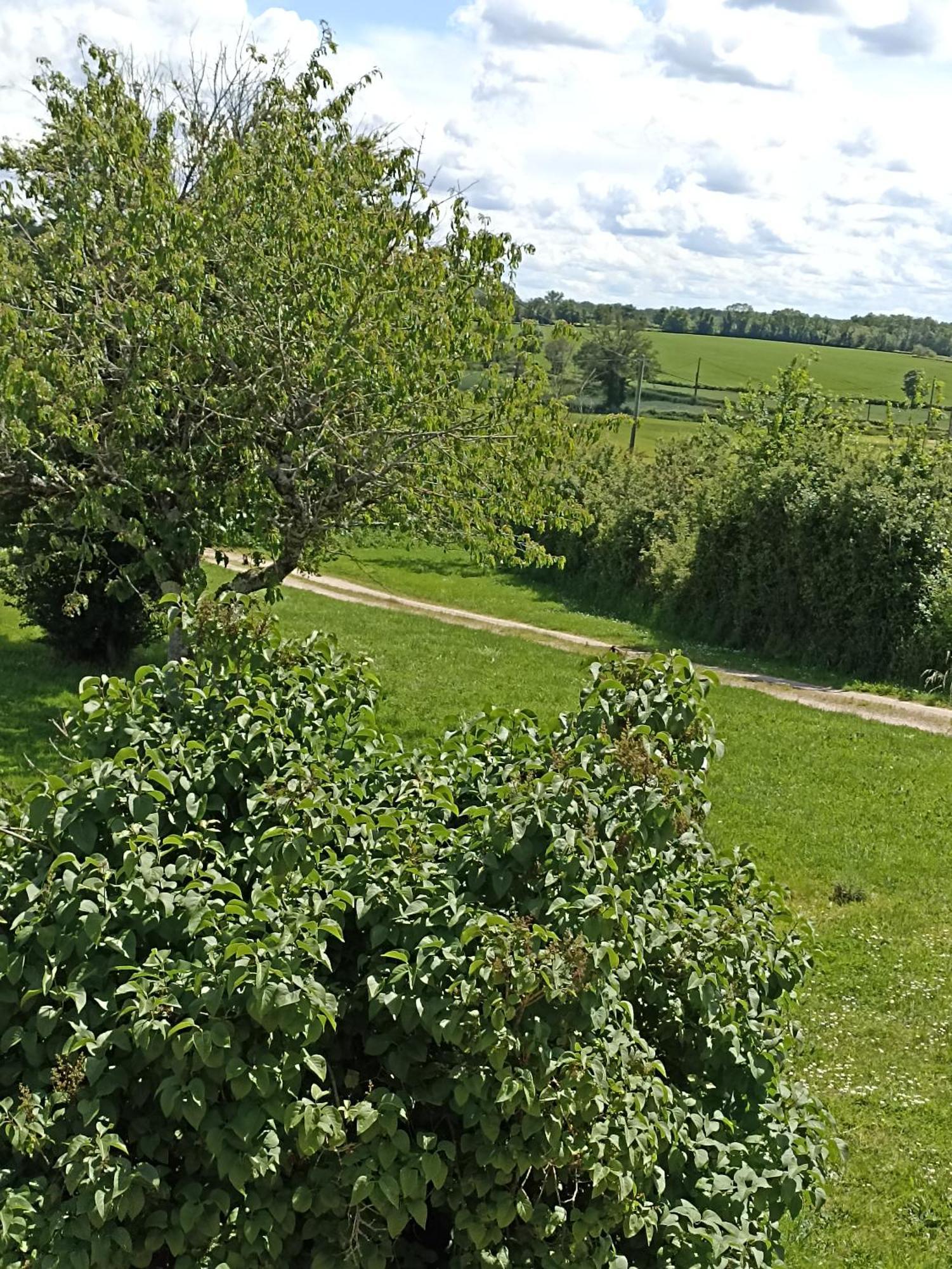 Chambre D'Hotes La Tuilerie Bed & Breakfast Saint-Menoux Exterior photo